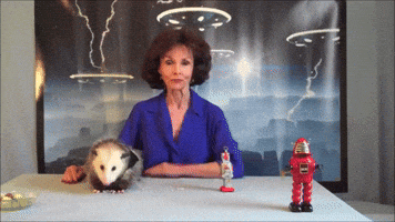 Best of Opossum Lady